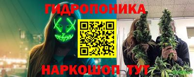 ПСИЛОЦИБИНОВЫЕ ГРИБЫ Камышлов